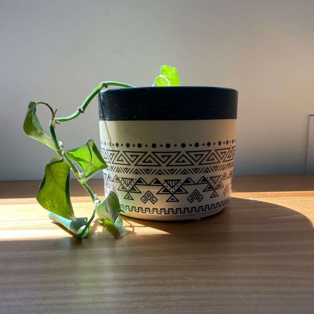 Small-medium Planter